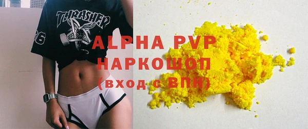 стафф Корсаков