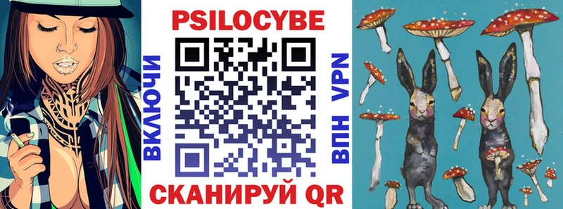 Псилоцибиновые грибы MAGIC MUSHROOMS  купить наркоту  Магадан 