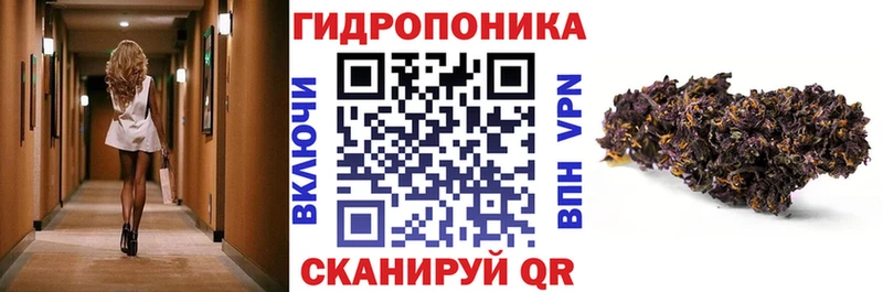 Шишки марихуана сатива Магадан